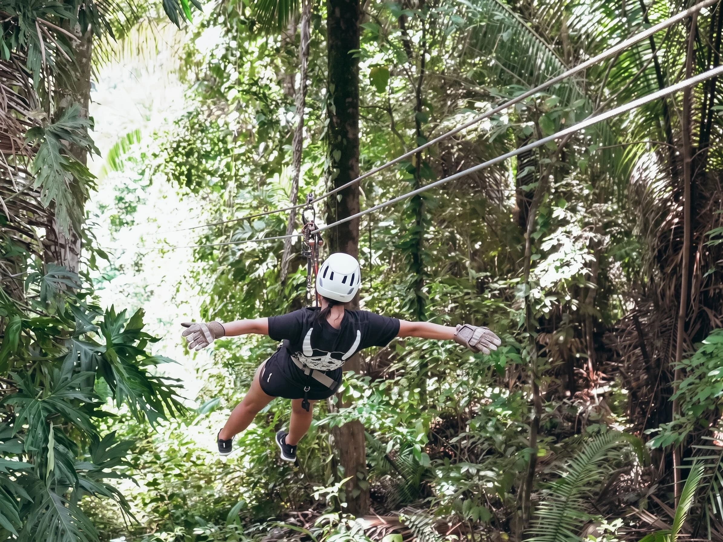 zipline