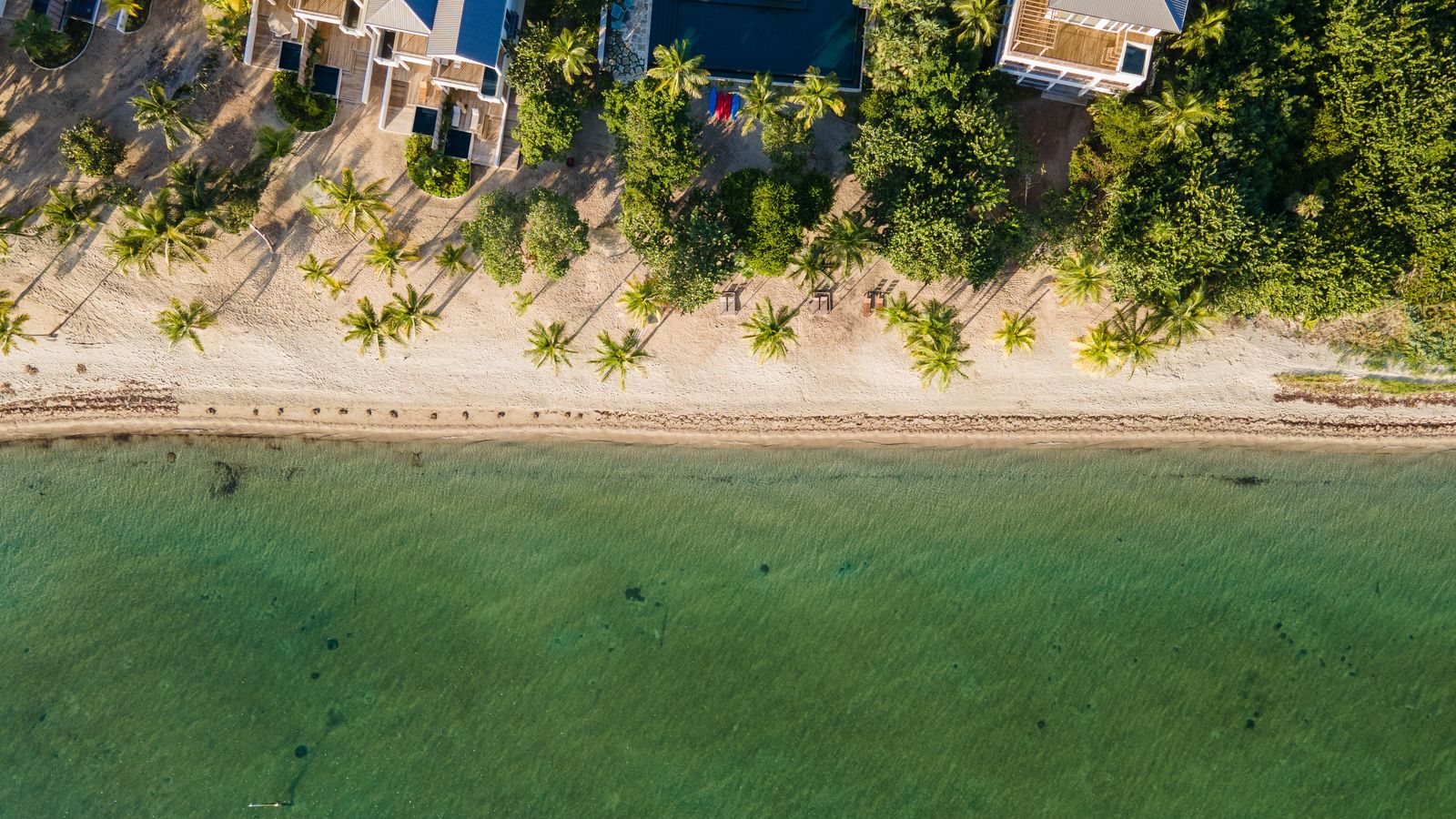 Aerial view of Belize's turquoise barrier reef and palm-lined coastline