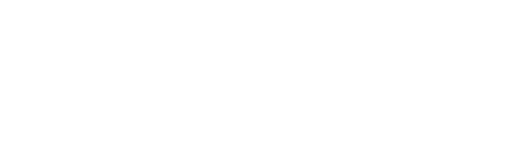 Signature Travel Network
