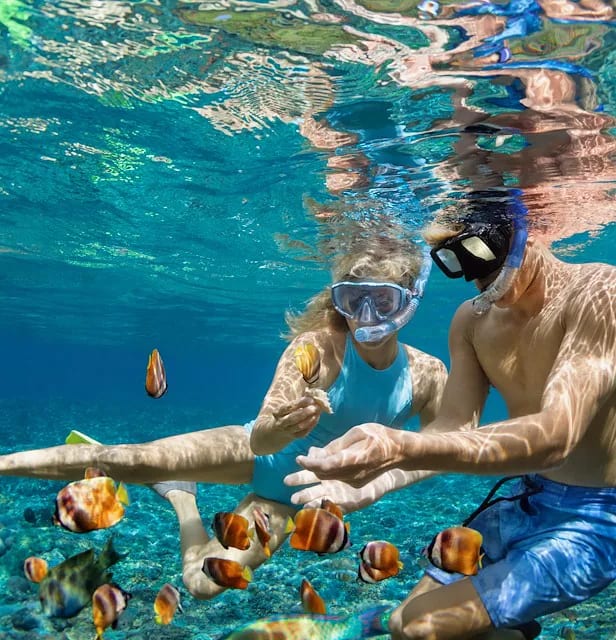 Couple snorkeling side by side among striped tropical fish just below the water's surface